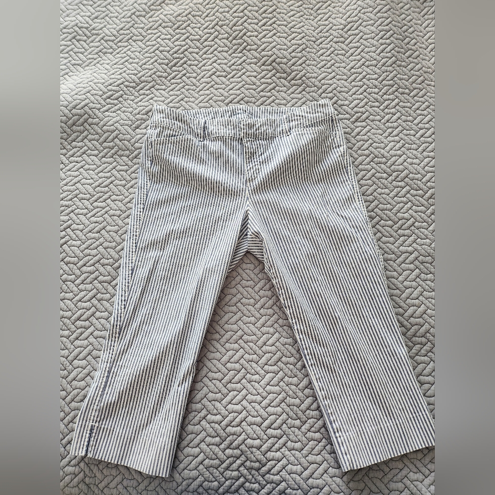 Pixie Cotton Blend Crop pants White & Blue Stripes 10 Petite - EUC